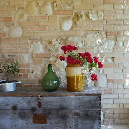 乡村民宿 阿飞塔卡梅尔博尔格卡波乡村民宿 Roccamontepiano