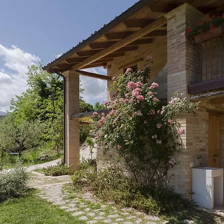 乡村民宿 阿飞塔卡梅尔博尔格卡波乡村民宿 Roccamontepiano